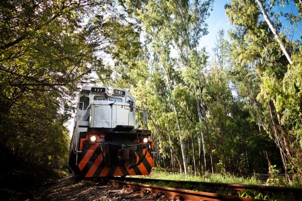 Transporte de cargas pelas ferrovias do país cresce 30% em março
